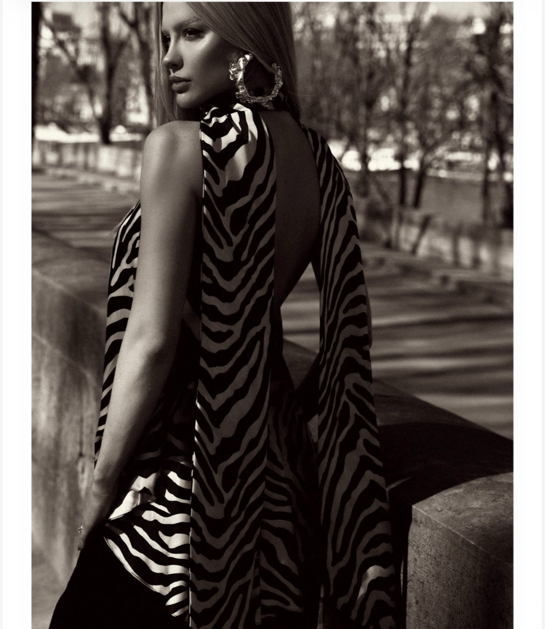 Blusa Frente Única de Zebra
